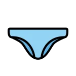 Briefs SVG Icon